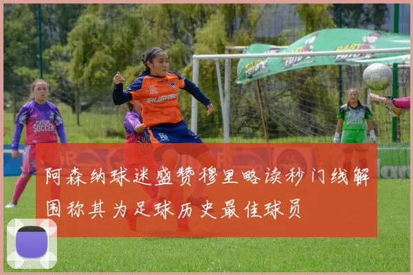 阿森纳球迷盛赞穆里略读秒门线解围称其为足球历史最佳球员