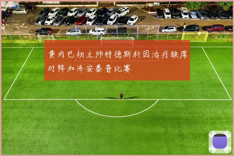 费内巴切主帅特德斯科因治疗缺席对阵加济安泰普比赛